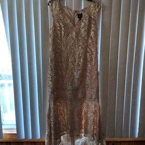 Adrianna popell champagne dress